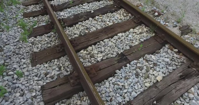 The rails of the train wrapped in grass and wildflowers that grow from stones.
