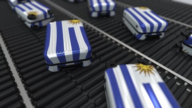 Many travel suitcases featuring flag of Uruguay on roller conveyer. Uruguayan tourism conceptual animation