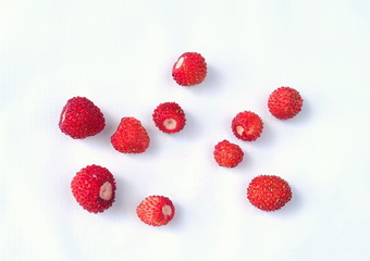 Red ripe berries of wild strawberry on a light background