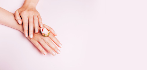 Stylish trendy female manicure. Woman's Hands holding rose flower on pink background. Top view, flat lay