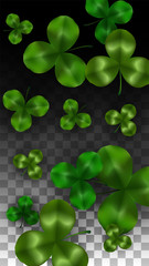 Vector Clover Leaf  Isolated on Transparent Background with Space for Text. St. Patrick's Day Illustration. Ireland's Lucky Shamrock Poster. Invintation for Concert in Pub. Top View. Success Symbols.