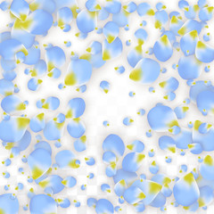 Vector Realistic Blue Petals Falling on Transparent Background.  Spring Romantic Flowers Illustration. Flying Petals. Sakura Spa Design. Blossom Confetti.