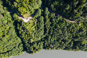 Aerial photography. Green trees in the forest. View down. No people. Screensaver for your desktop. Wildlife. Nature.