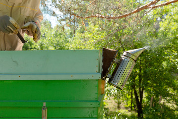Beekeeper is working with bees and beehives on the apiary.