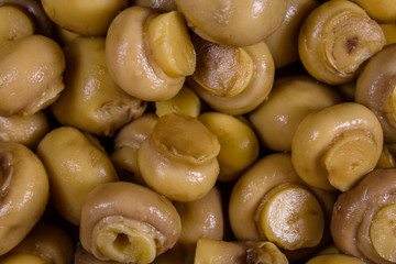 Texture of the canned mushrooms for the background