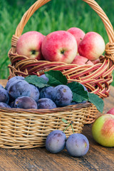 Just picked plums and apples in wicker baskets on old wooden boards
