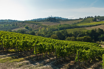 Fototapeta na wymiar Hiking hills, backroads and vineyards at autumn, near San Gimignano in Tuscany, Italy