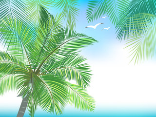 Vector tropical jungle frame with palm trees, blue sky, birds and ocean