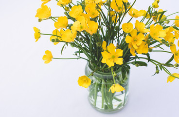 Buttercups in a glass jam jar, white background