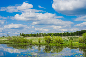 Obraz na płótnie Canvas Green field. Wildlife. Meadow and river. Cloudy sky. Rural landscape.