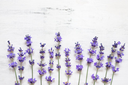 Lavender Flowers On Rustic White Wood