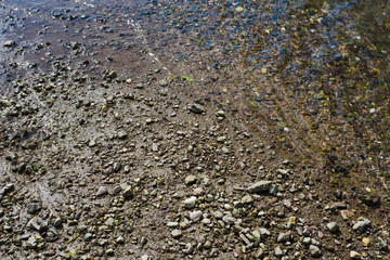 Stone river bank. Gray earth texture