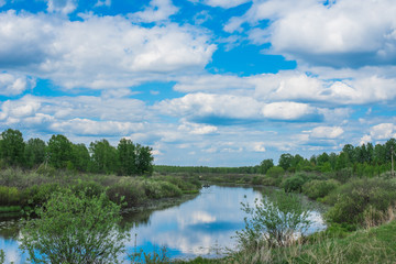 Obraz na płótnie Canvas Green field. Wildlife. Meadow, forest and river. Cloudy sky Rural landscape.