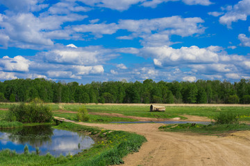 Fototapeta na wymiar Green field. Wildlife. Meadow, forest and river. Cloudy sky Rural landscape.