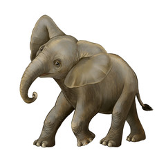 Fototapeta na wymiar cartoon scene with little elephant on white background safari illustration for children