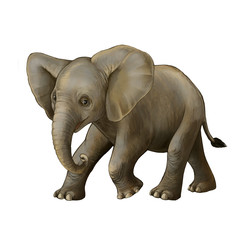 Obraz premium cartoon scene with little elephant on white background safari illustration for children