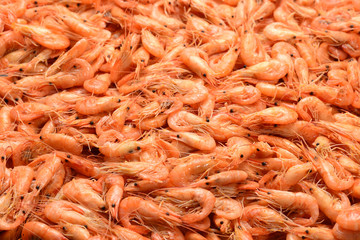 Tasty fresh shrimps as background.
