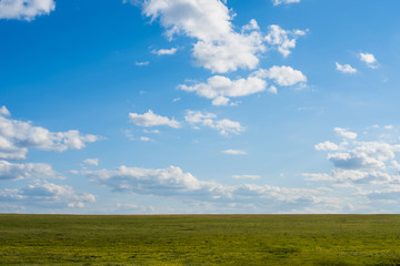 Obraz premium Green field. Wildlife. Meadow. Cloudy sky Rural landscape.
