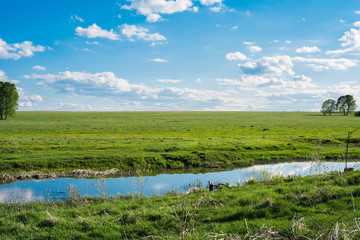  Green field. Wildlife. Meadow and river. Cloudy sky. Rural landscape.