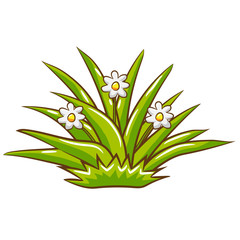 grass vector graphic design clipart