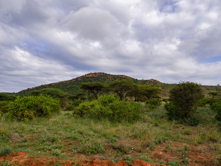 Tsavo West National Park, Kenya
