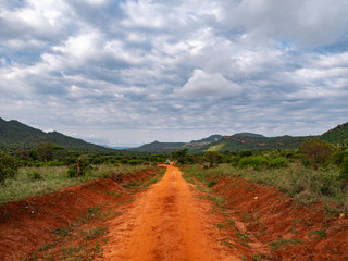 Tsavo West National Park, Kenya