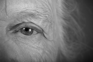 Portrait of elderly woman. Closeup view. Toned
