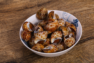 Tasty mollusk - spotted Babylon in the bowl