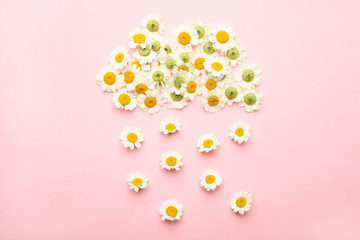 Cloud with rain of small flowers of chrysanthemum