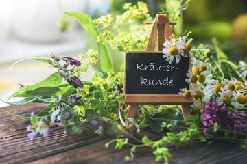 Schild: Kräuterkunde mit Wildkräutern