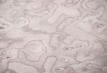The surface of the wood, the background, the natural pattern