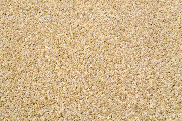 Mayfly fly swarm around night Lights, ground covered with millio