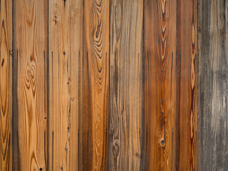 Naklejka premium OLYMPUS DIGITAL CAMERA