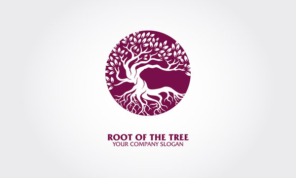 Root of the Tree logo illustrating a tree roots, branches. An excellent logo template highly suitable Beauty Salon, Fashion, Media business, Photography, etc.