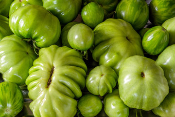 Raw green different sized tomatoes