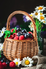 Fototapeta na wymiar Raspberries and blueberries in a basket with chamomile and leaves on a dark background. Summer and healthy food concept. Selective focus.