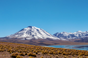 Fototapeta na wymiar Highland lakes Miscanti and Miniques, hidden among volcanoes in Los Flamencos National Reserve, Atacama desert, Chile, South America