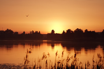 Sunset river landscape. Orange sunlight reflected on the river surface. Artistic natural image.