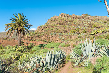 Landscape with hiking trail in the hill country of the island of La Gomera. On the way down from El Cercado through the Argaga ravine direction Valle Gran Rey