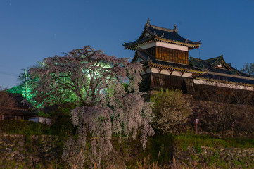 夜明けの青い空とお城と桜
