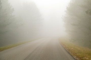 Driving on countryside road in fog. Illustration of dangers of d