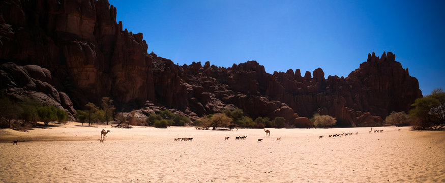 Panorama inside canyon aka Guelta d'Archei in East Ennedi, Chad