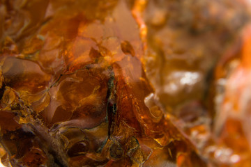 Macro Close up of an amber stones from Baltic sea. Multicolored
