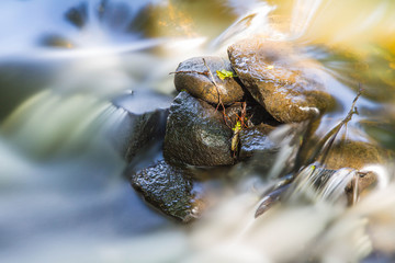 Rapid stream flowing over rocks on a sunny day - long exposure	