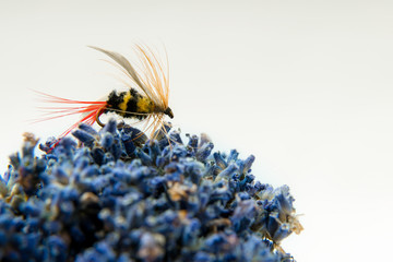 Fly fishing fly, bee imitation for trout or salmon on white back