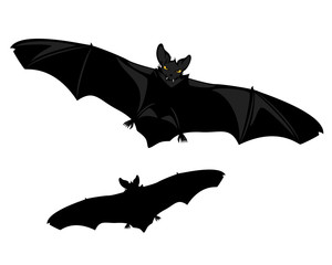 halloween vampire bat with spread wings - spooky flying animal color design and black vector silhouette