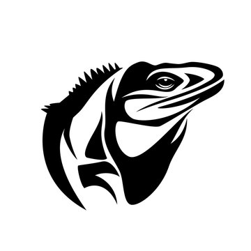 recommend clip art: iguana lizard black and white profile portrait - reptile head vector outline