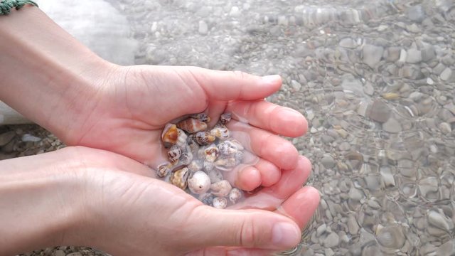 Sea shell in the hand at the beach. Summer day on beach concept.