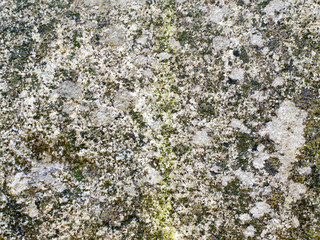 Perfect and colorful stone texture.