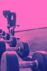 Duotone neon of sport equipment in the gym. Rack of assorted weight dumbbells set. Copy space with...